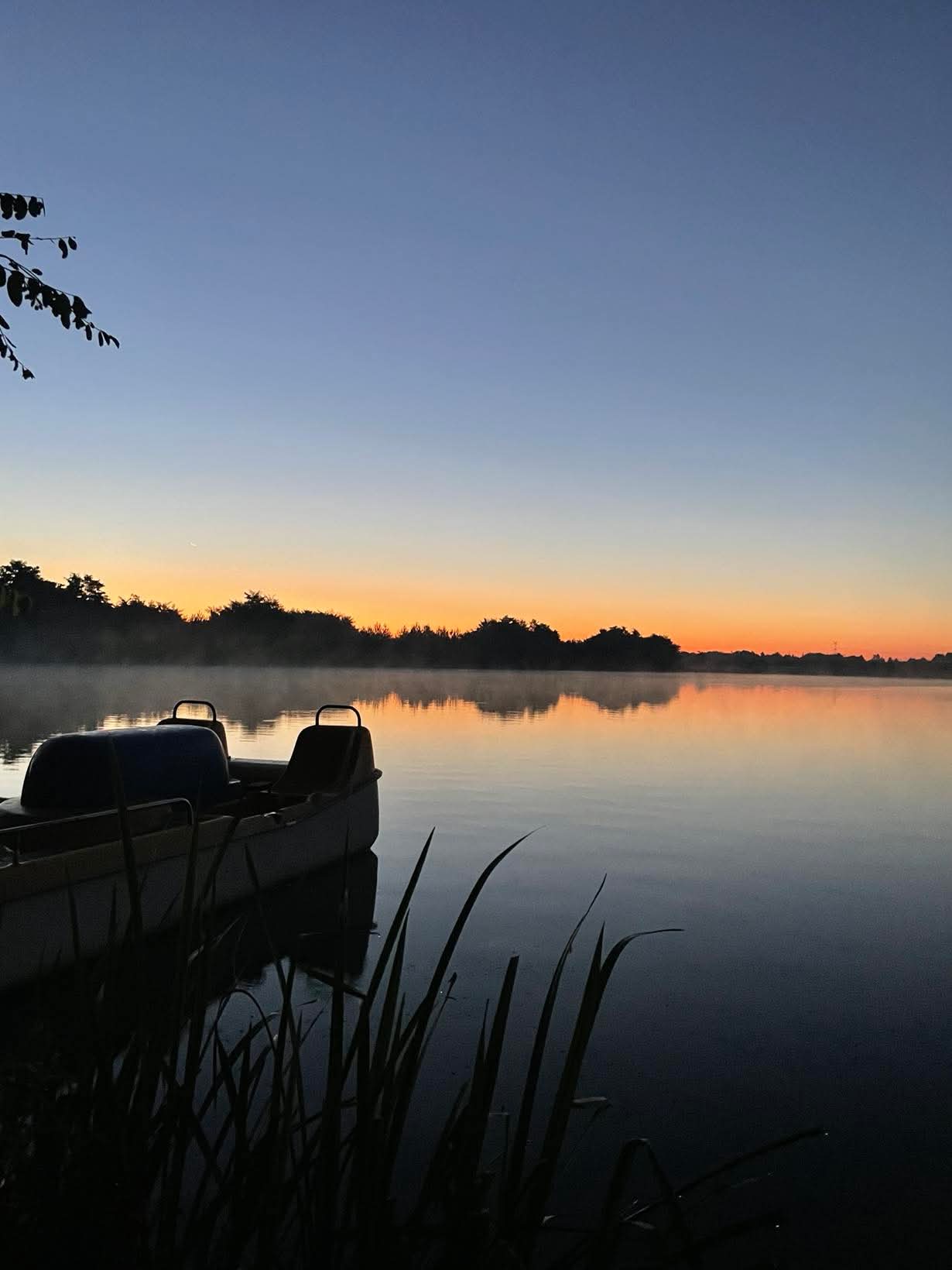 Carp fishing setup